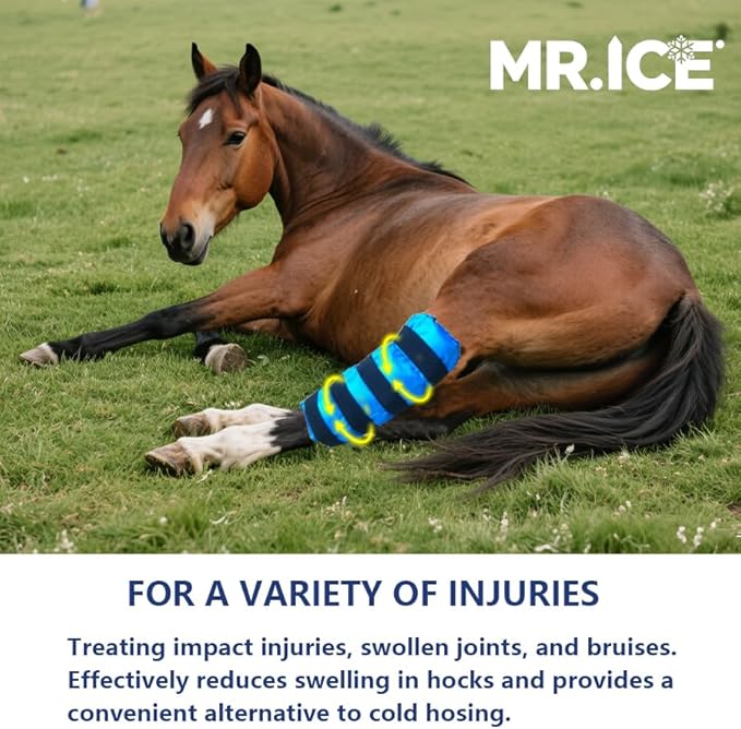 Horse Ice Boots - Reusable Gel Horses Ice Pack for Swelling & Pain | Cooling Leg Wraps for Horse Hock, Horse Knee, Horse Ankle & Horse Hooves | Horse Supplies & Care Gift Ideas - 1 Pair, Blue