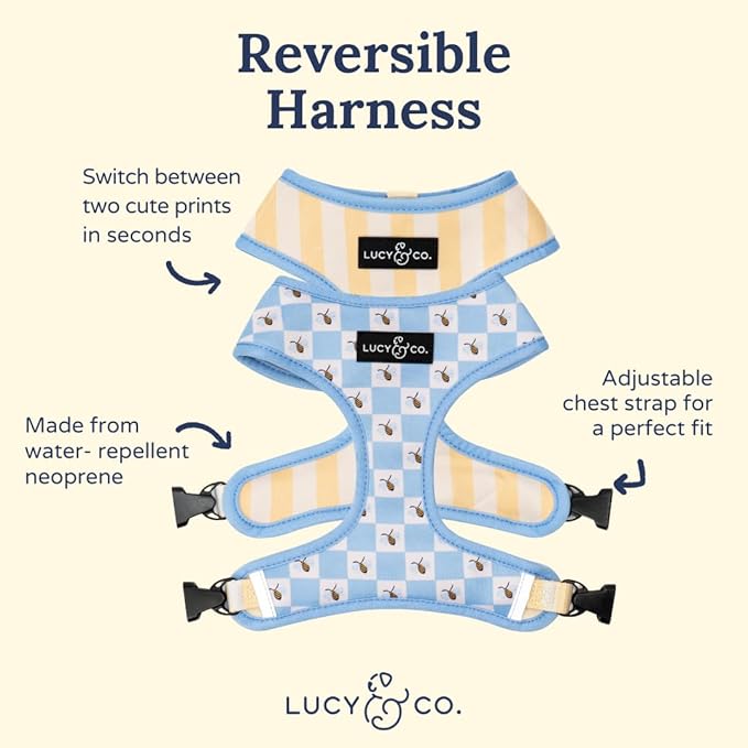 Lucy & Co. Bumbling Around Reversible Dog Harness, Adjustable Comfort Fit with Dual Leash Attachments, X-Small