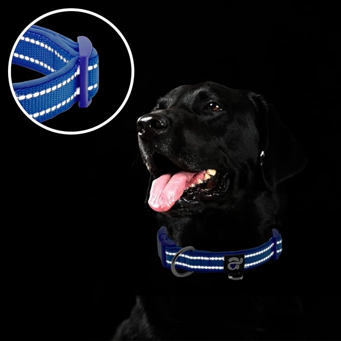 azuza Reflective Dog Collar,Soft Neoprene Padded Pet Collar with ID Tag Ring,Adjustable for Small Dogs,Royal Blue,S
