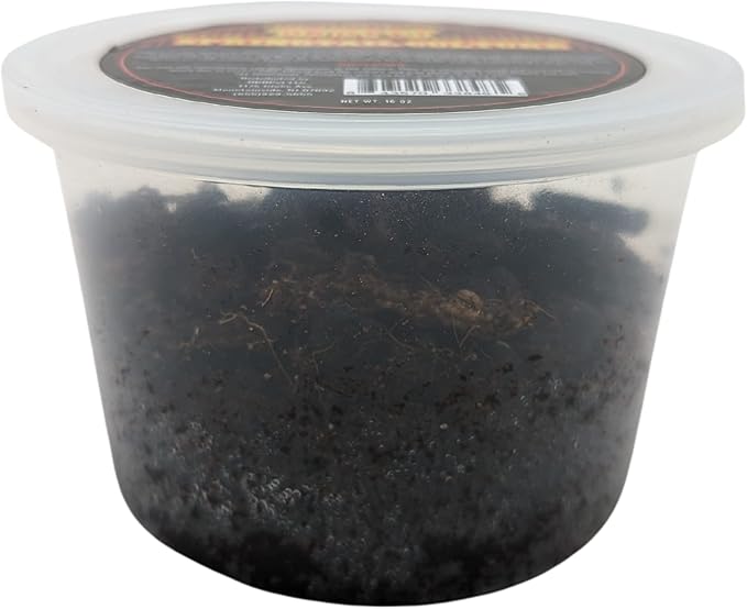 DBDPet Live Springtail Cultures - Great for Terrariums, Vivariums, and More - Microfauna for Bioactive Reptile & Amphibian Cages (Soil Culture)