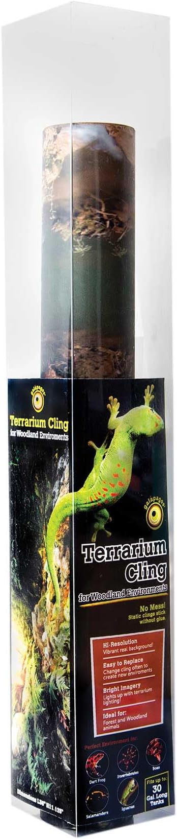 Galápagos (05400) Terrarium Background Clings, 11.125" x 36", Woodland