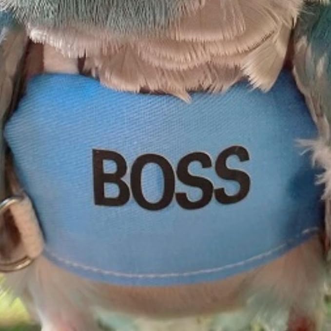 Bird Flight Harness Vest, Parrot Flight Suit with Leash, Bird Flying Clothes with Rope and Handle for Outdoor Activities (L)