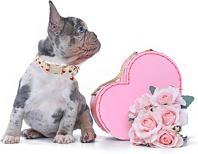 DOGWONG Valentine's Dog Collar-Hearts Print Dog Collar for Large Cute Dog Collars Spring Female Male Pet Gift Adjustable Heavy-Duty Soft Collar，XL
