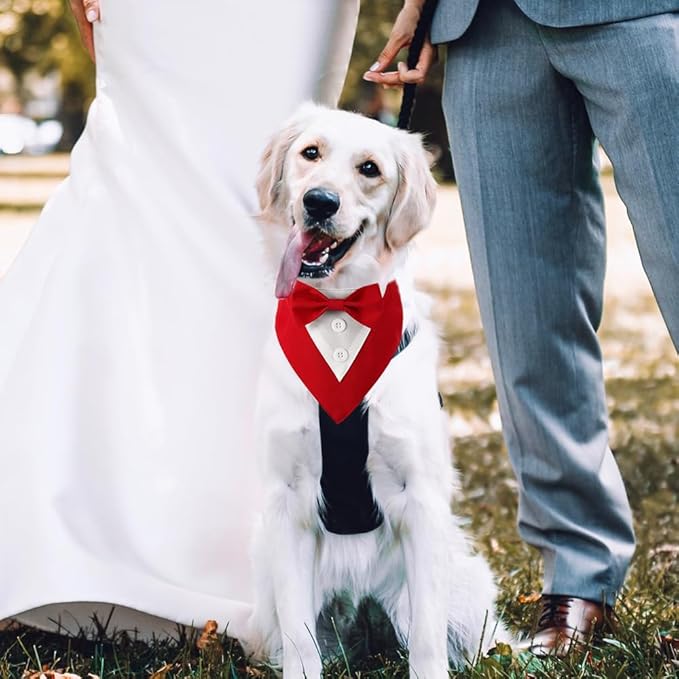 Formal Dog Tuxedo Adjustable Pet Collar with Bow, Small, Medium and Large Dog Wedding Clothing, Birthday Gifts