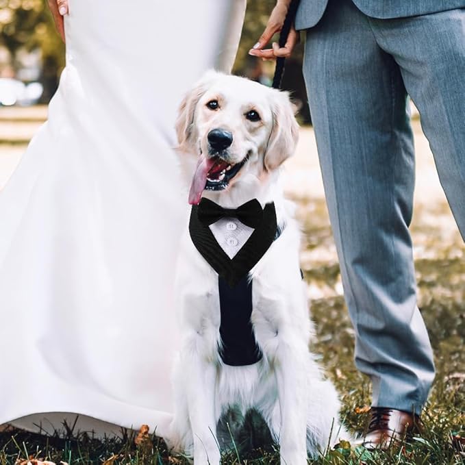 Dog Wedding Bandana, Formal Dog Tuxedo Adjustable Pet Collar with Bow, Small, Medium and Large Wedding Clothing, Birthday Gifts for Dogs (Small, Black)