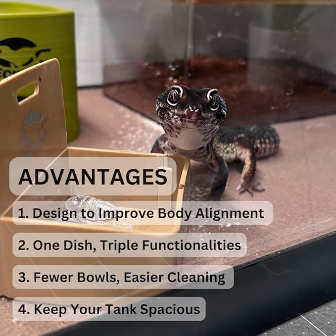 Geckopia Triple Dish | Marble