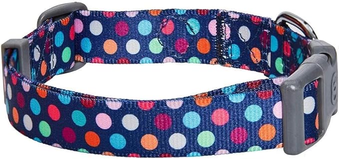Blueberry Pet Essentials Rainbow Polka Dots Adjustable Dog Collar, Small, Neck 12"-16"