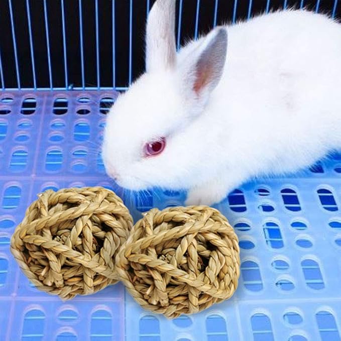 Hamiledyi 10PCS Rabbit Grass Balls 2.8in Large Guinea Pig Balls Small Animal Activity Enrichment Toy for Bunny Chinchilla Hamster Gerbil Grinding Playing