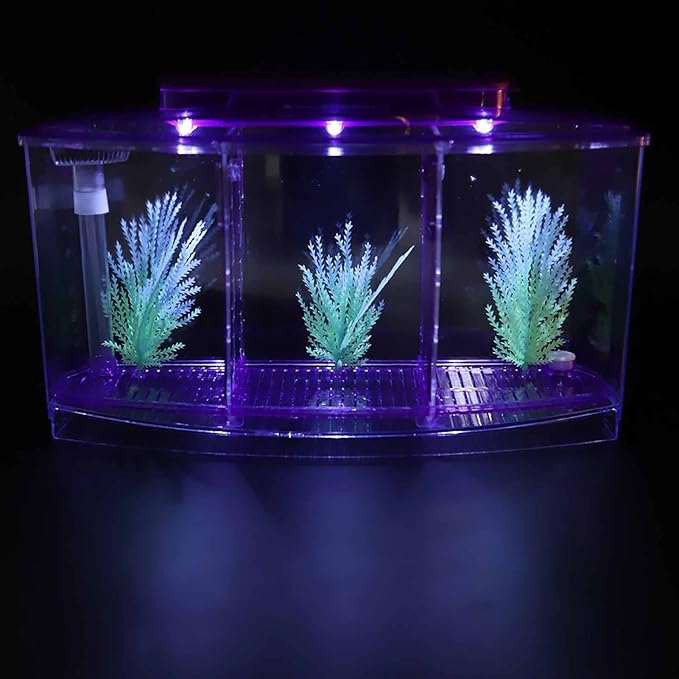 Aquarium Tank, Three Divisions LED Acrylic Fish Tank, Desktop Aquarium | Portable Fish Tank | Travel Fish Tank | Cool Fish Tank | Breeding Isolation Box Fishtank for Baby Fish