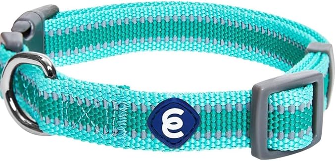 Blueberry Pet Essentials Matching Large Dog Collar | Adjustable Classic Solid Color Nylon Dog Collars for Large Dogs | Reflective Rouge Red Dog Collar for Large Dogs