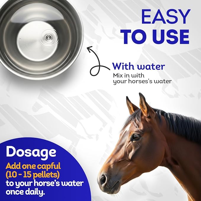 HA4E - Horse Digestive Support for Cushing’s Disease - Preventative Care - Highly Effective, Natural Homeopathic Supplement - 300 Tablets