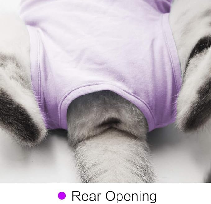 Cat Surgery Recovery Suit Cat Onesie for Cats After Surgery Spay Surgical Abdominal Wound Skin Diseases E-Collar Alternative Wear (Purple-S)