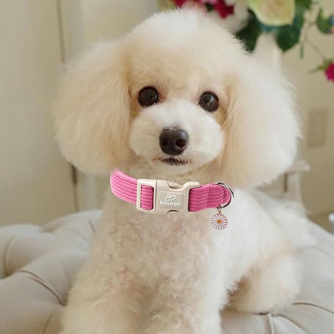 Cute Corduroy Dog Collar - Deep Rose Adjustable Dog Collars for Small Dogs 10-25lbs, Fade-Proof with Secure Snap & Little Charm, Christmas Birthday Gift, S