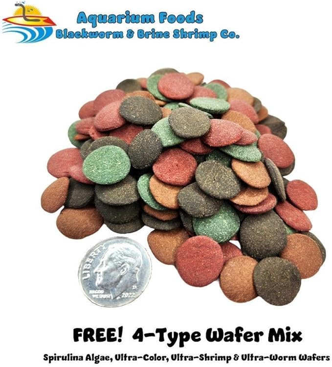 Aquatic Foods Inc. Red River Shrimp - Freeze-Dried 3/8" to 1/2" Red River Shrimp for Cichlids, Koi & Pond Fish, Aquatic Turtles, All Community Tropical Fish, Reptiles, Rodents…1.7oz Sm Round Jar