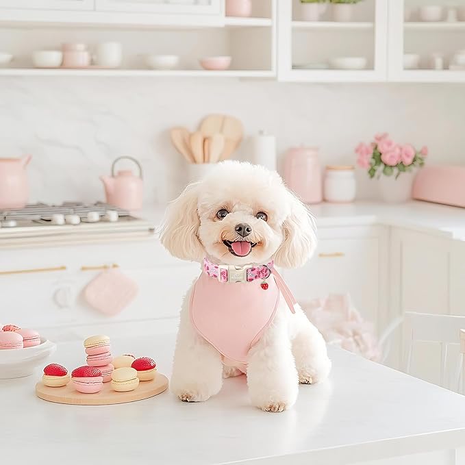 Strawberry Bow Dog Collar for Medium Dogs - Cute Pink Spring/Summer Girl Dog Collars, Lightweight Adjustable Female Girly Dogs Collars with Quick Release Buckle M