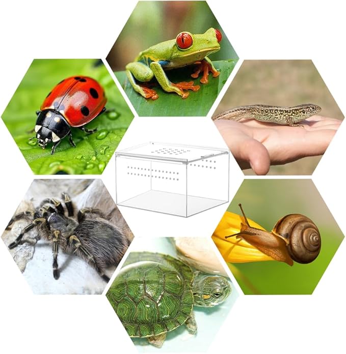 NANEEZOO Acrylic Reptile Breeding Box, 5x4x3 Inch Nano Flat/Long Enclosure Transparent Reptile Breeding Box Terrarium Cage Tank for Tarantula Scorpion Sling Isopods Invertebrates Insect Mantis