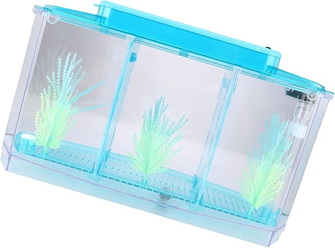 Yctze LED Acrylic Aquarium Breeding Box and Kit - Ideal for Betta Fish, Dual and Mini Aquarium Environment (Blue)