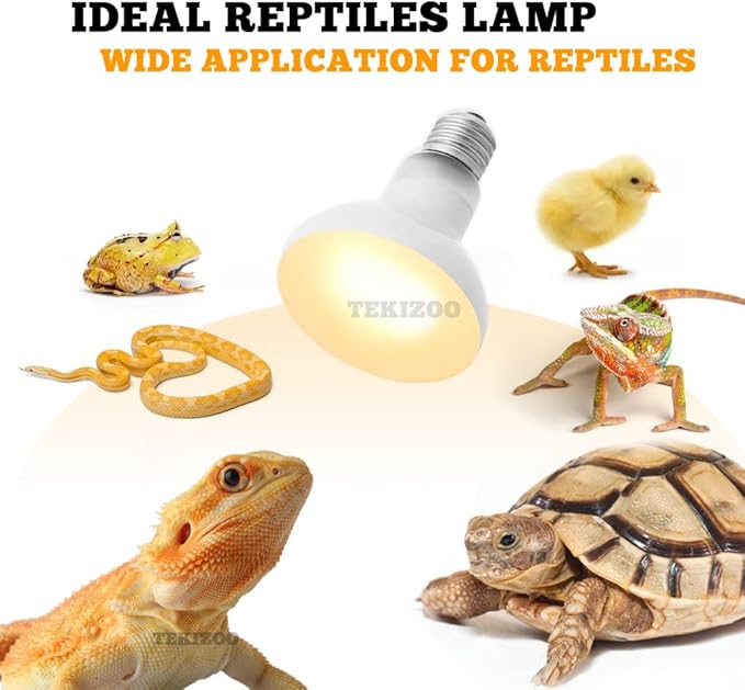 Heat Lamp Bulbs Reptile Basking Light Spot Daylight for Bearded Dragon,Lizard,Tortoise,Amphibian 75W(2 Pack)
