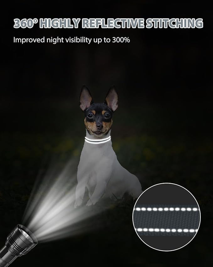 Joytale Small Dog Collar, Reflective and Adjustable Nylon Collar with Quick-Release Buckle, Lightweight No-Choke Design for Puppy and Extra Small Dogs, Gray, XS