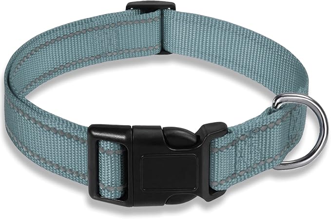 Reflective Dog Collar with Buckle Adjustable Safety Nylon Collars for Small Medium Large Dogs, Grey XL