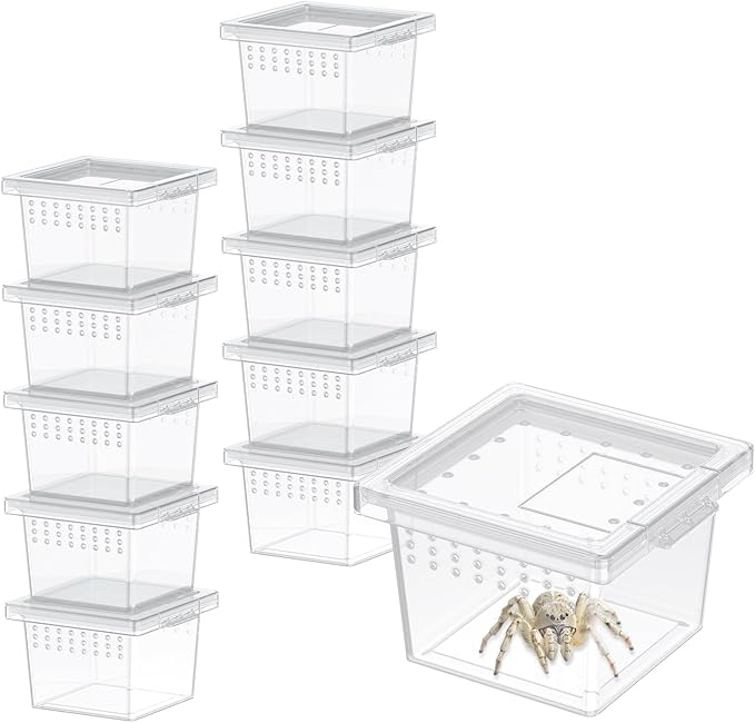 Pawfly 10 Pcs Mini Spider Terrarium Breeding Box, Transparent Plastic Jumping Spider Enclosure Cricket Keeper Tarantula Enclosure, Small Reptile Hatching Container for Scorpion Centipede Gecko Mantis