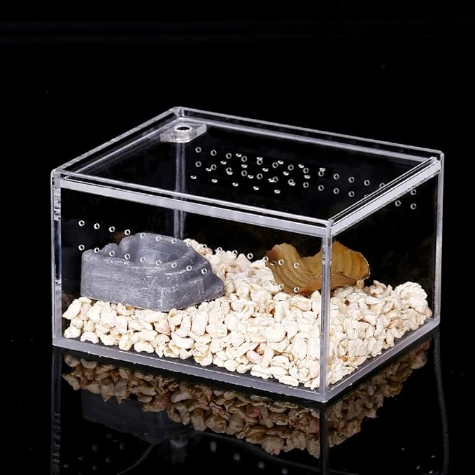 NANEEZOO Acrylic Reptile Breeding Box, 5x4x3 Inch Nano Flat/Long Enclosure Transparent Reptile Breeding Box Terrarium Cage Tank for Tarantula Scorpion Sling Isopods Invertebrates Insect Mantis