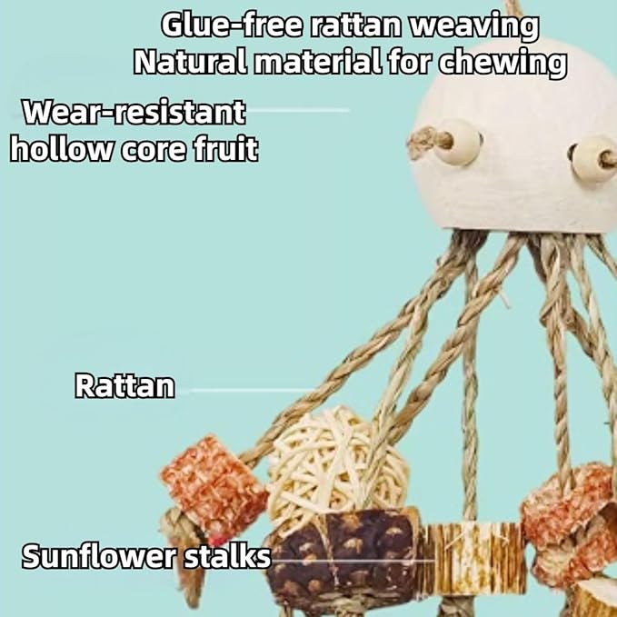 Bird Toys, Chewing for Parrot, Natural Nut Hanging for Parakeet,Lovebirds,Finch,Cockatiel, Conure, Quaker (B)