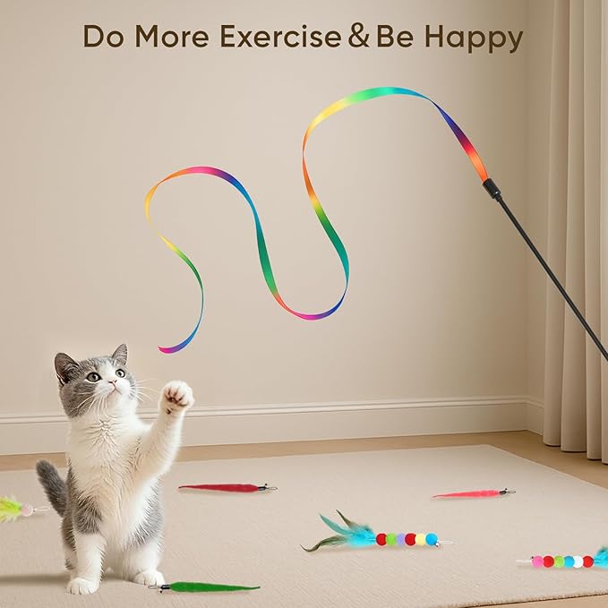 Cat Toys for Indoor Cats, 13 Packs Interactive Cat Wand Toy Set with Feather Toys & Teasers, Fun Cat Toys for Exercise, Playtime and Boredom Relief