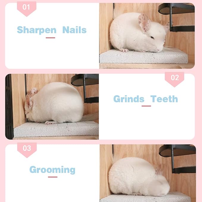 Hamiledyi Rabbit Scratch Foot Pads Bunny Grinding Claw Pad 2 PCS Natural Small Animal Hamster Lava Stone for Teeth Grinding Rabbit Scratching pad Chew Toy for Guinea Pig Rat Gerbil Chinchilla Hedgehog