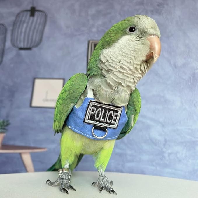 Bird Flight Harness Vest, Parrot Flight Suit with Leash, Bird Flying Clothes with Rope and Handle for Outdoor Activities (Without Leash,Hahn's Macaw)