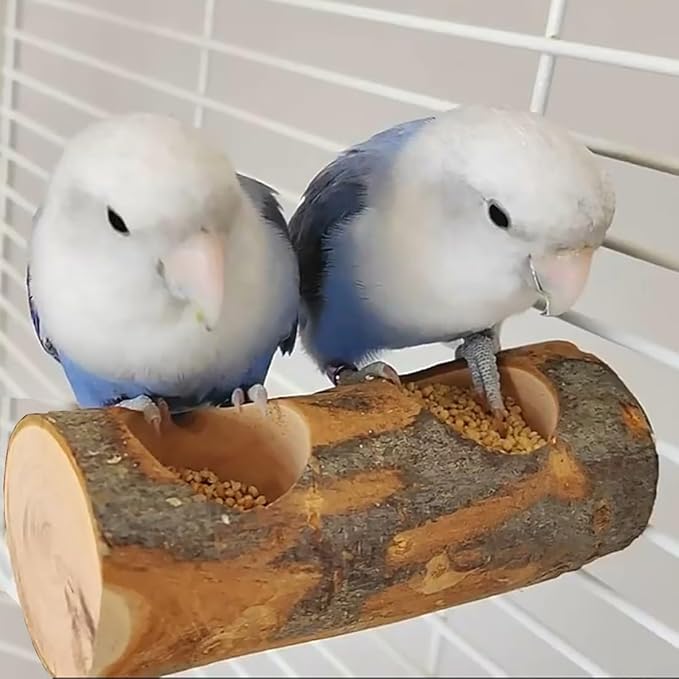 Small Bird Feeding Dish Cups, Removable Pet Food Bowl for Cage, Parrot Feeding Bowls for Finches Lovebirds Budgie Cockatiel Parakeet