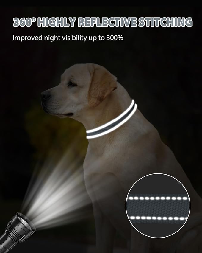 Joytale Large Dog Collar, Reflective and Adjustable Nylon Pet Collar with Quick-Release Buckle for Extra Large Dogs, Gray, XL