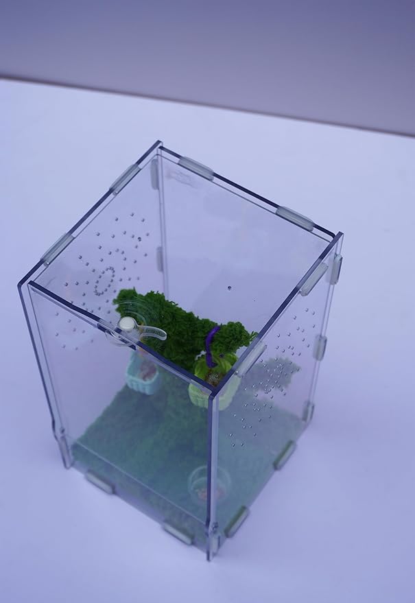 Jumping Spider Enclosure, Terrarium Accessories Knit