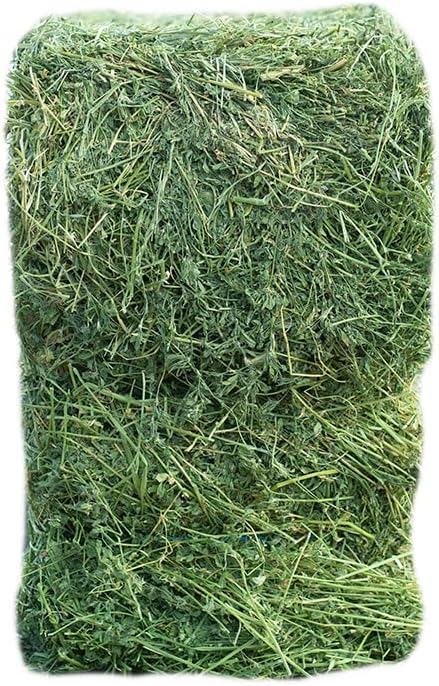 Fresh Alfalfa Hay 20Lbs by Bunny Honey - Natural Hay for Guinea Pigs, Rabbits, Hamsters, Hedgehogs, and More Small Animal Pets - Not Blended, Green Chopped & Delivered Fresh