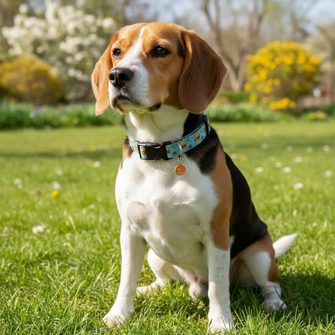 Cute Dog Collar, Blue Dog Collar with Burger Pattern and Cute Charm, Puppy Collar with Quick Release Buckle and Durable Fabric, Suitable for Medium and Large Dogs