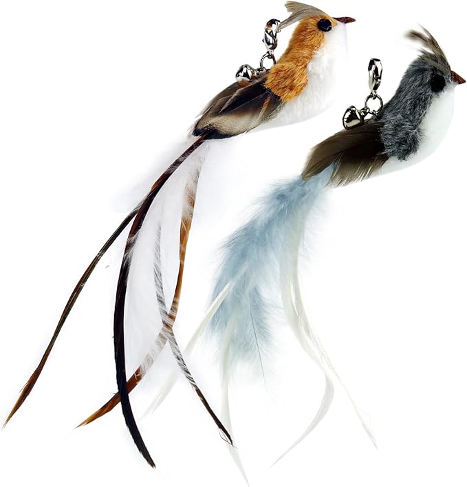 TTcat Cat Feather Toy Replacement Wand Refills, 10 Pcs Simulation Insects Bird Feathers.