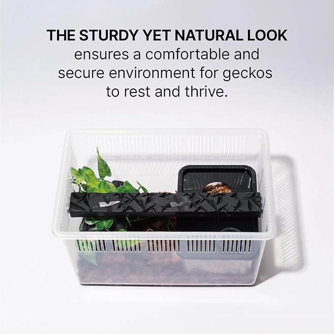 Gecko Habitat Kit - 3.5 Gallon Reptile Terrarium with Ventilated Lid, Gecko Tank with Humidity Hide, Reptiles Ledge, Feeding Dish - Stackable Lizard Terrarium for Geckos, Amphibians, Small Animals