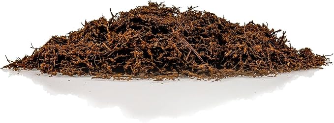 Premium New Zealand Tree Fern by GARDENERA - Orchid and Epiphytal Plants Growing Medium and Reptile Substrate - 2 Quart Bag