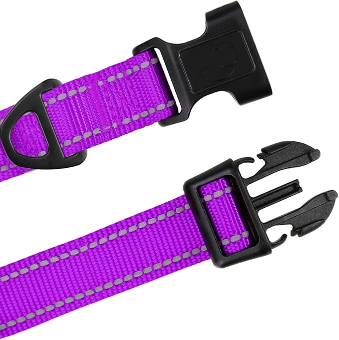 TagME Reflective Nylon Dog Collars, Adjustable Classic Pet Collar with Quick Release Buckle for Medium Dogs, Purple, 1.0" Width