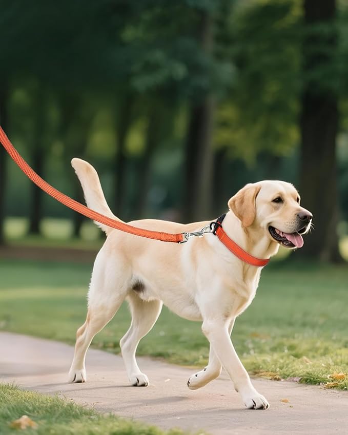 Joytale Large Dog Collar, Reflective and Adjustable Nylon Pet Collar with Quick-Release Buckle for Extra Large Dogs, Orange, XL