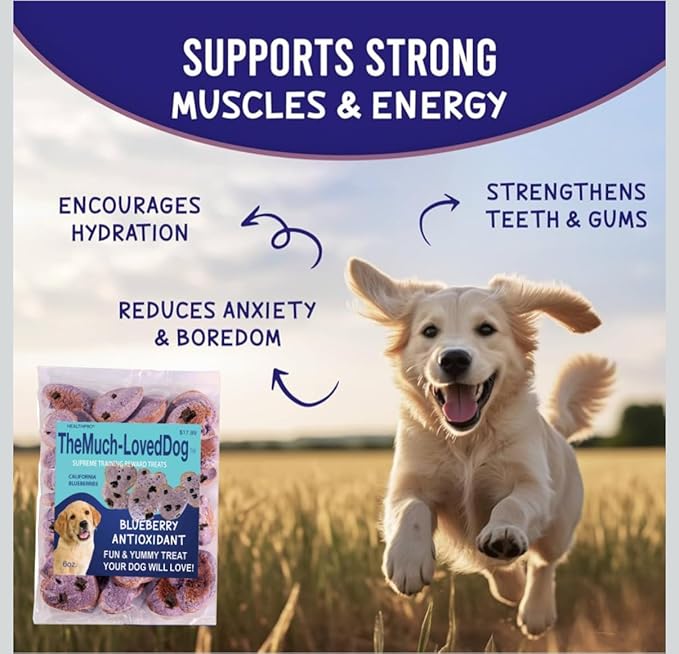 The Much-Loved Dog!™ Blueberry Dog Treats – Natural Biscuits for Small Dogs & Large Breeds – Healthy Puppy Treats for Small Dogs Made in USA, Training Snacks for All Breeds (3 Pack, Blueberry)