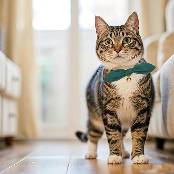 Bunny Ear Cat Collar with Bell and Bow Tie, Breakaway Cute Bowtie Kitten Collars(Dark Green)