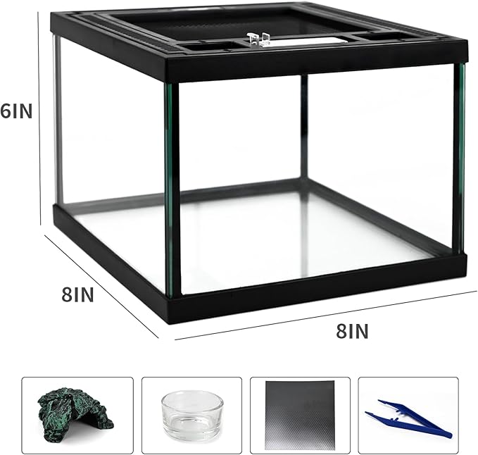 Mini Reptile Glass Tank 8 * 8 * 6inch Terrarium for Start with Top Ventilation for Turtle,Spider,Hermit Crab,Geock,Frog AMD Beard Dragon