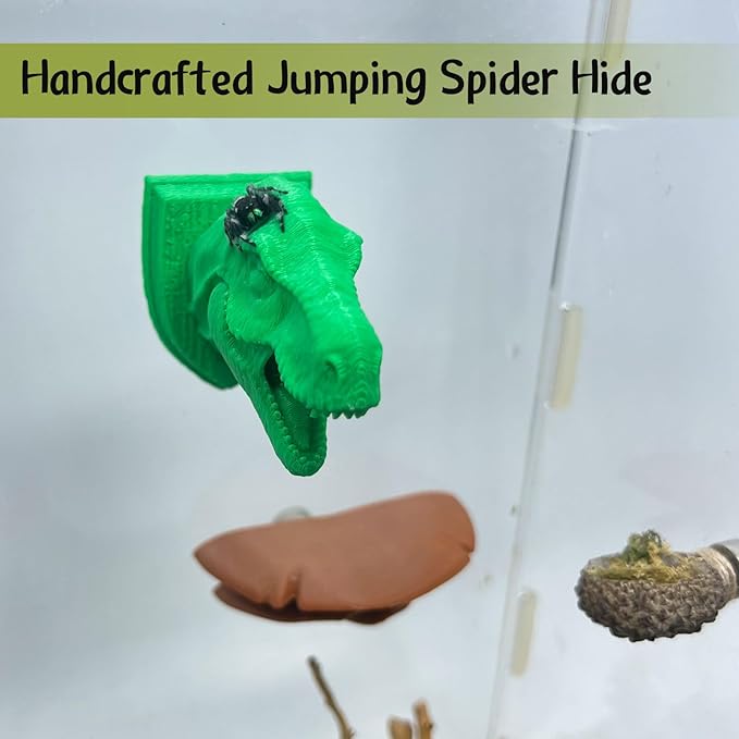 Jumping Spider Hide,3D Printed Dinosaur Head - A Fun Habitat for Jumping Spiders, Small Reptiles, and Small Pets, Suitable for Home Decor with Animal Enclosures (Green)