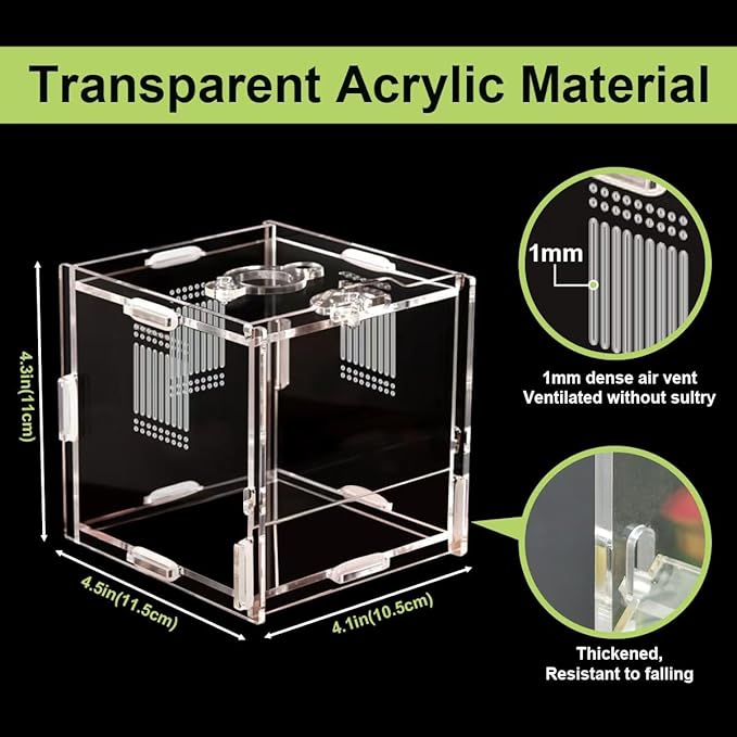 Jumping Spider Enclosure, 4" X 4" X 4" Acrylic Spider Habitat, Front Opening Small Reptile Terrarium with Matrix Ventilation Holes & Feeding Holes, for Jumping Spider Snail Insect