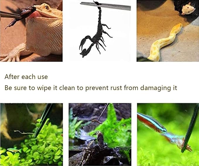 Tweezers and Scooper, Reptile Long Handle Feeding Tool, for Gecko, Lizard, Guinea Pig, Hamsters, Hedgehog, Rat, Snak, Bird and Other Small Animals -10.5" Black 2Pcs+Scooper
