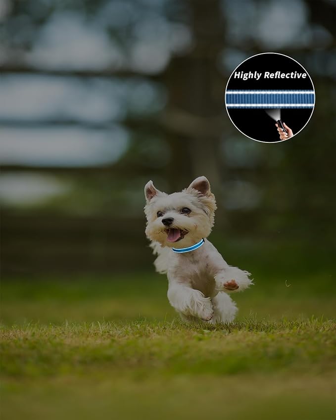 TagME Reflective Nylon Dog Collars, Adjustable Classic Pet Collar with Quick Release Buckle for Extra Small Dogs, Sky Blue, 5/8" Width
