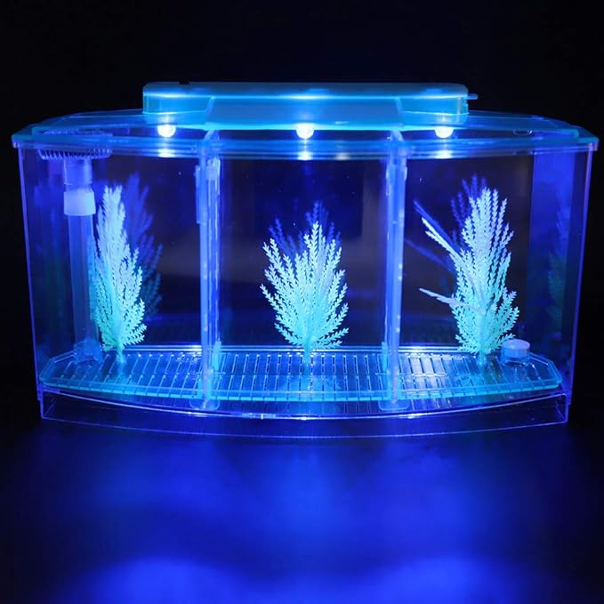 Small Fish Tank with Filter, Aquarium Fish LED Acrylic Three Divisions Breeding Isolation Box for Small Fishes Aquarium Fish (Blue)