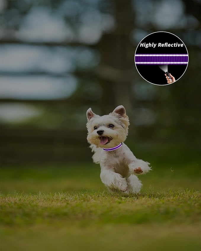 TagME Reflective Nylon Dog Collars, Adjustable Classic Pet Collar with Quick Release Buckle for Puppy, Purple, 3/8" Width