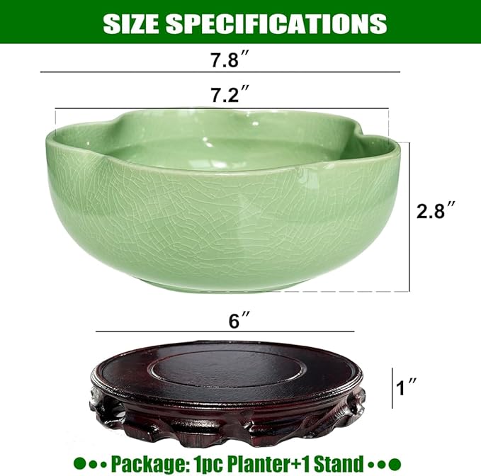 MUZHI Green Ceramic Water Lotus Flower Bowl Planter with Solid Wood Tray, Elegant Hole-Free Ice Crack Hydroponic Water Lily Bowl Pot with Stand 7.8”